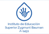 Instituto de Educación Superior  Zygmunt Bauman A-1491
